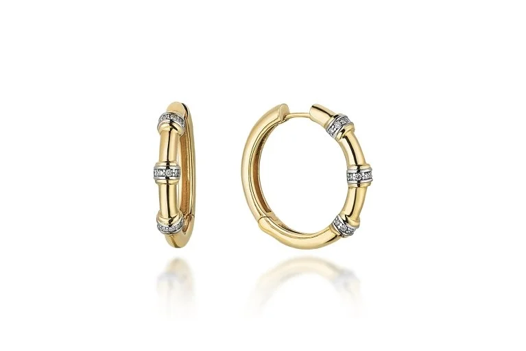 Bone Hoop Dia (2)