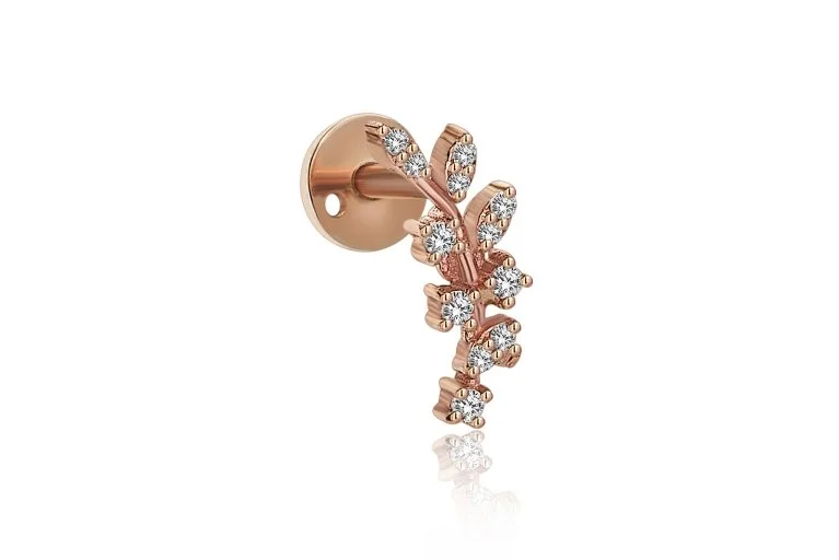 Dal Pırlanta Tragus (2)
