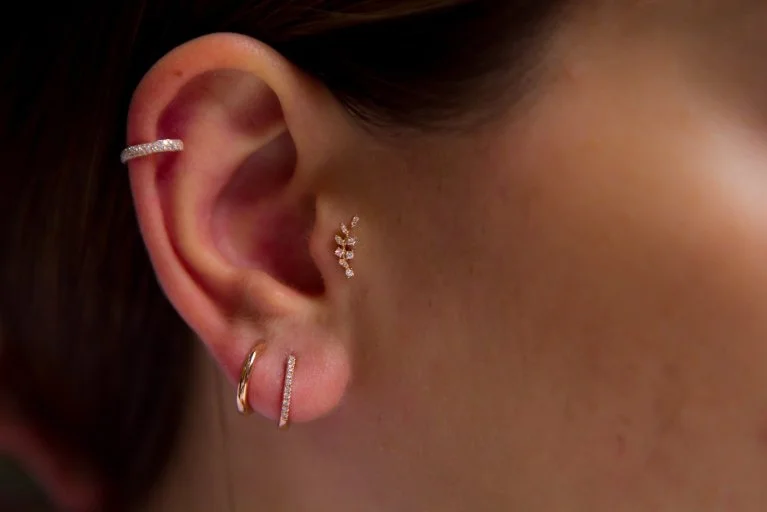 Dal Pırlanta Tragus (1)