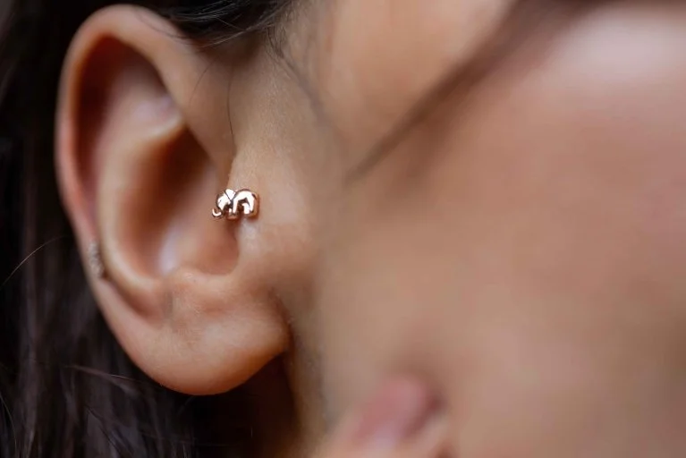 Fil Tragus (1)