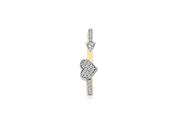 Kalp Earcing (2)