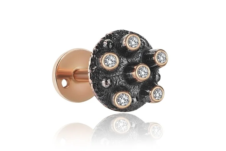 Lup Tragus (2)