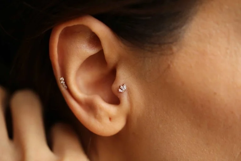 Trapez Üçlü Tragus (1)