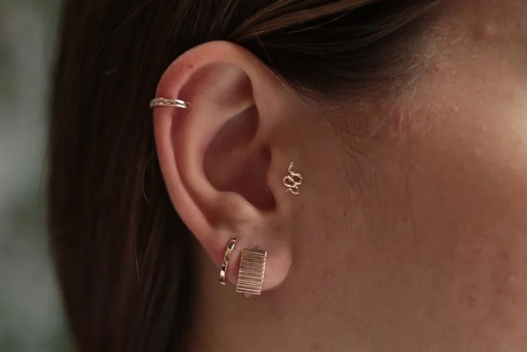 Yılan Tragus (1)